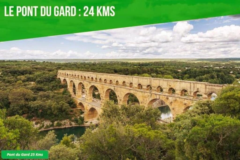 La Balance Des Doms - 1 Min Du Palais Des Papes - Intra-Muros อาวีญง ภายนอก รูปภาพ