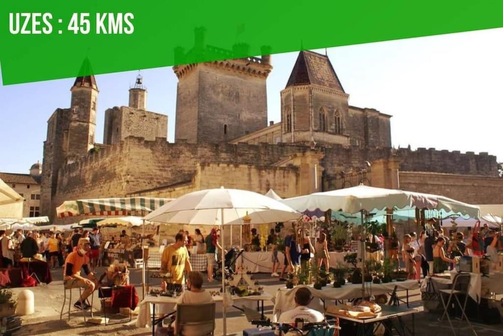 La Balance Des Doms - 1 Min Du Palais Des Papes - Intra-Muros อาวีญง ภายนอก รูปภาพ